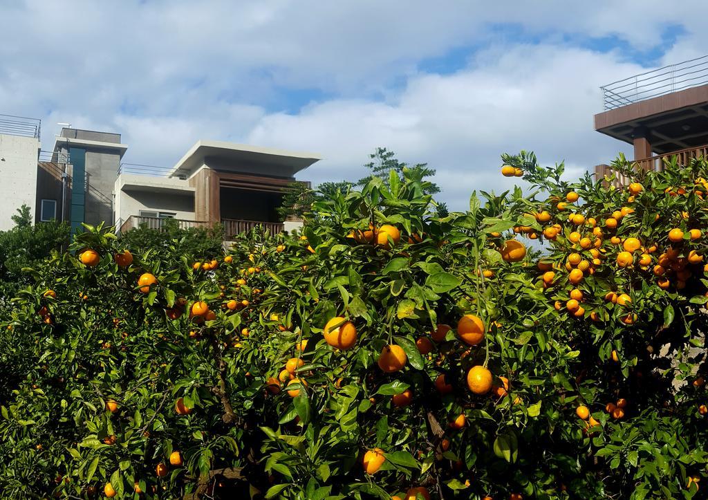Jeju Eco Suites Согвипхо Экстерьер фото