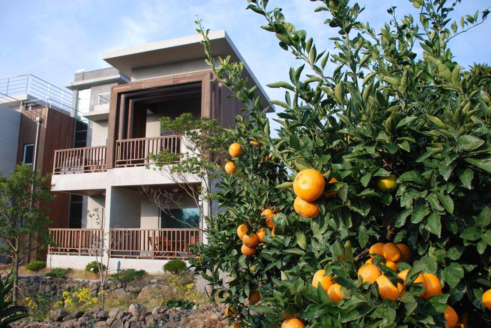 Jeju Eco Suites Согвипхо Экстерьер фото
