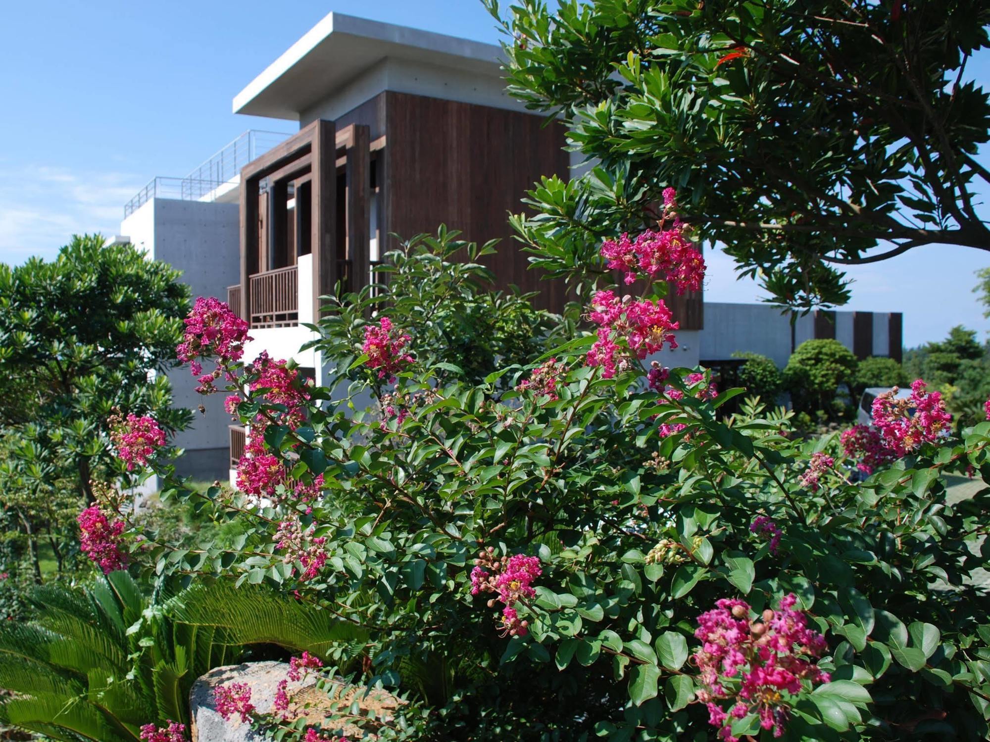 Jeju Eco Suites Согвипхо Экстерьер фото