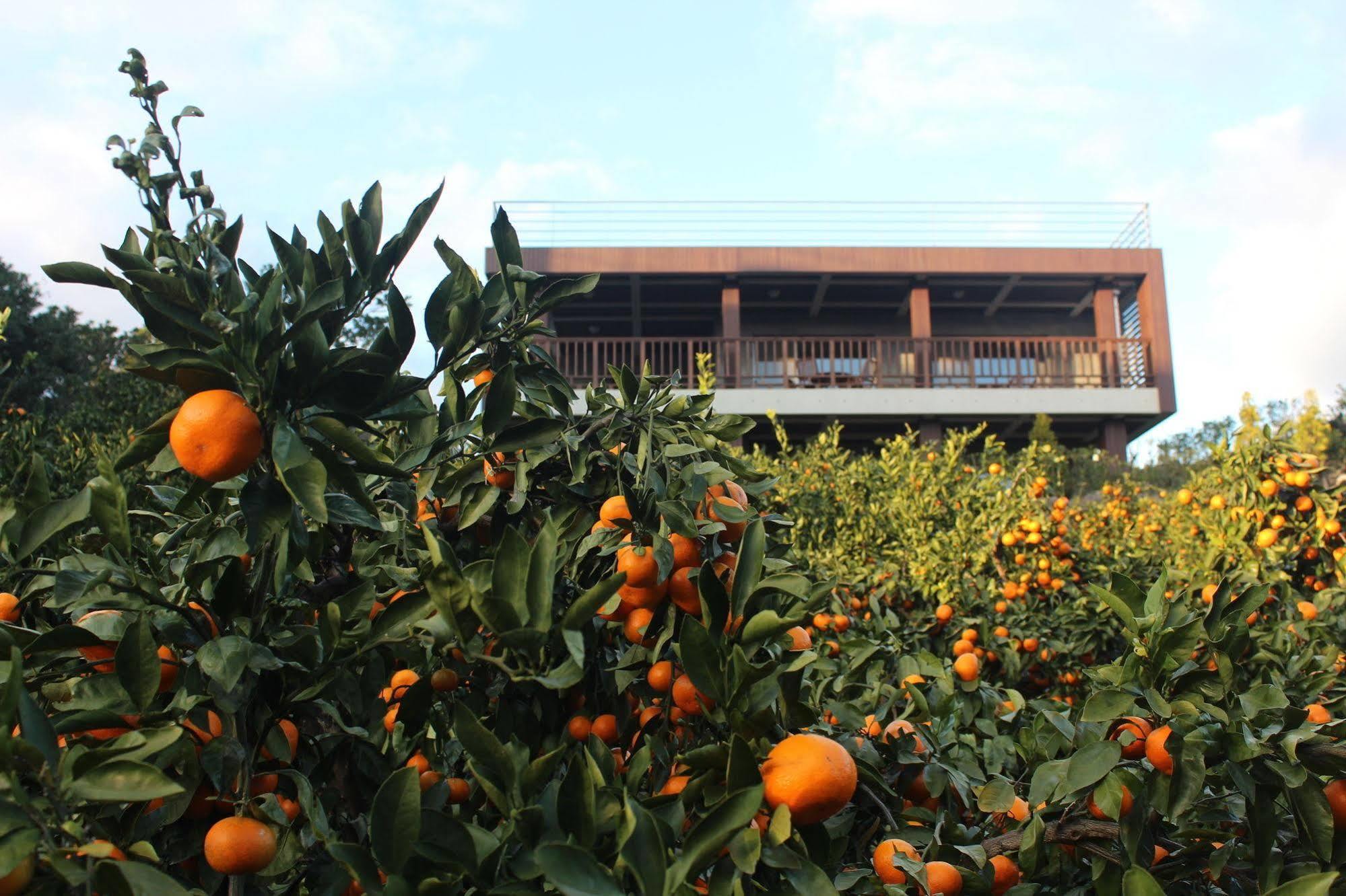 Jeju Eco Suites Согвипхо Экстерьер фото